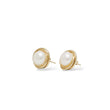 Load image into Gallery viewer, YELLOW GOLD FRESH WATER BUTTON PEARL STUD EARRINGS