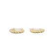 Load image into Gallery viewer, YELLOW GOLD SHELL STYLE HOOP EARRINGS