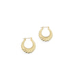 Load image into Gallery viewer, YELLOW GOLD HOLLOW SHRIMP HOOP EARRINGS