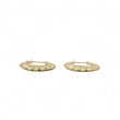 Load image into Gallery viewer, YELLOW GOLD HOLLOW SHRIMP HOOP EARRINGS