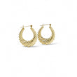 Load image into Gallery viewer, YELLOW GOLD HOLLOW SHRIMP HOOP EARRINGS