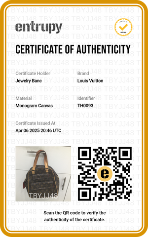 PREOWNED LOUIS VUITTON EXCENTRI CITE MONOGRAM
