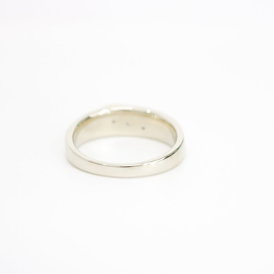 TWO TONE GOLD MEN'S NATURAL DIAMOND BAND
