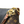 Load image into Gallery viewer, PRE-OWNED LOUIS VUITTON V TOTE BB
