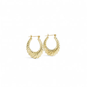 YELLOW GOLD HOLLOW SHRIMP HOOP EARRINGS